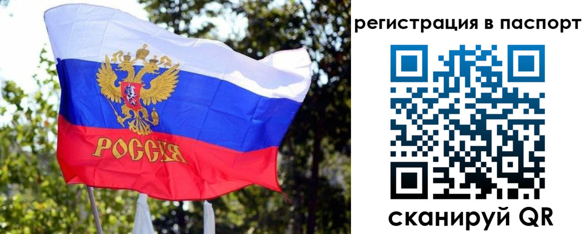временная регистрация гарантия в Соликамске